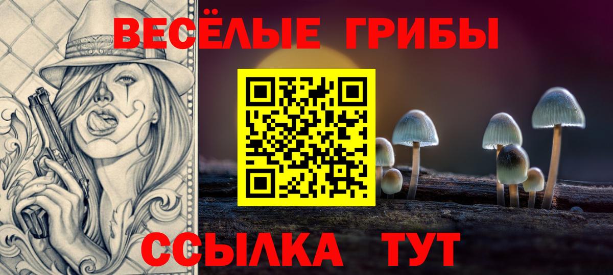 Псилоцибиновые грибы Cubensis Можайск