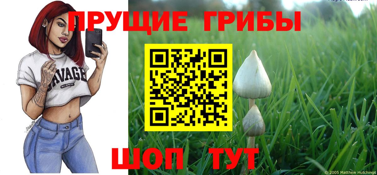 Псилоцибиновые грибы Cubensis  наркота  Галлюциногенные грибы мухоморы  Можайск  Вход с VPN 